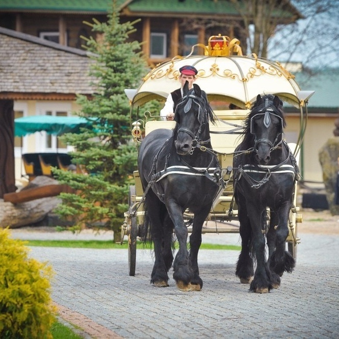 Фото - Карета Золушки