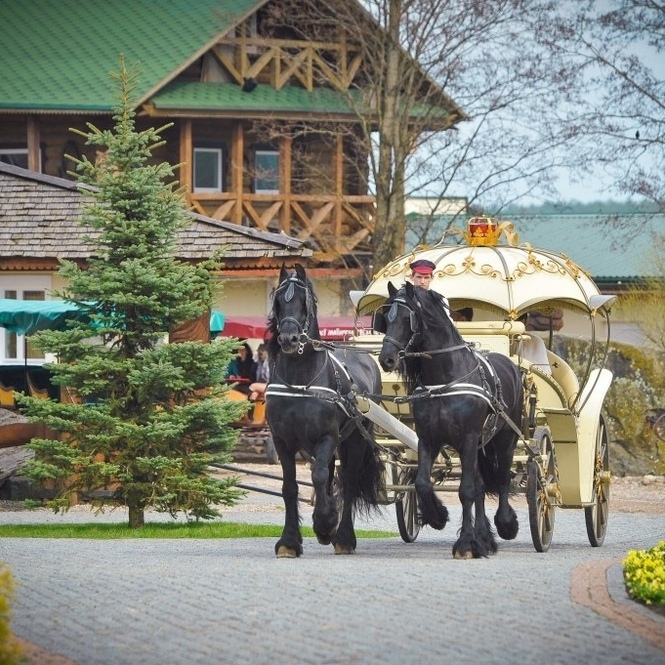 Фото - Карета Золушки