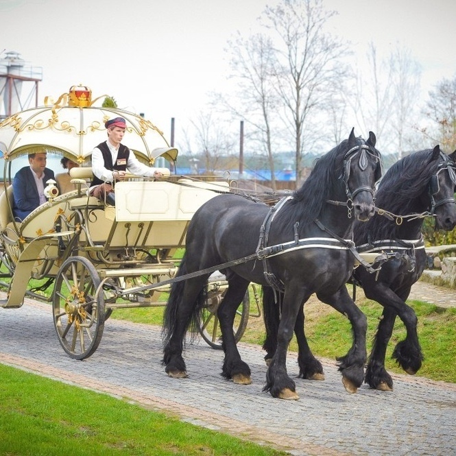 Фото - Карета Золушки