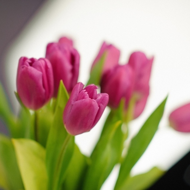 Фото - Фотосессия в Подарок