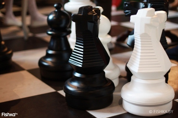 Фото - Алиса в стране чудес