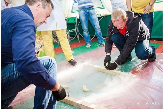 Фото - Шоу Профессора Вуаля